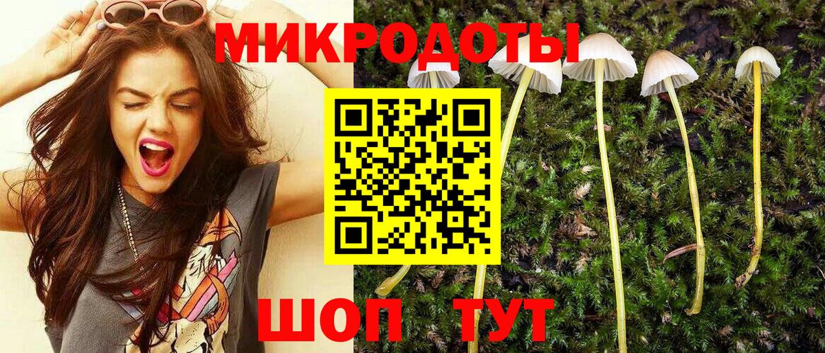 где купить наркотик  Вход с VPN  Старая Купавна  Псилоцибиновые грибы Cubensis 