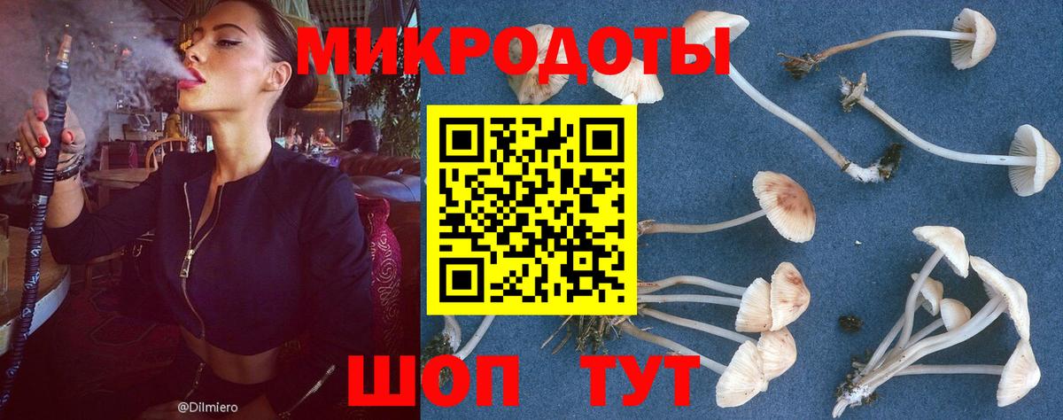Псилоцибиновые грибы Cubensis Старая Купавна
